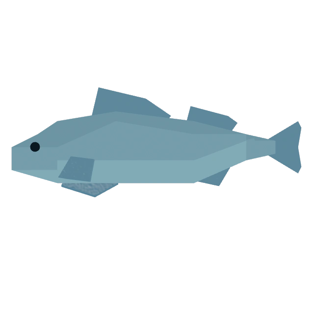 White Perch